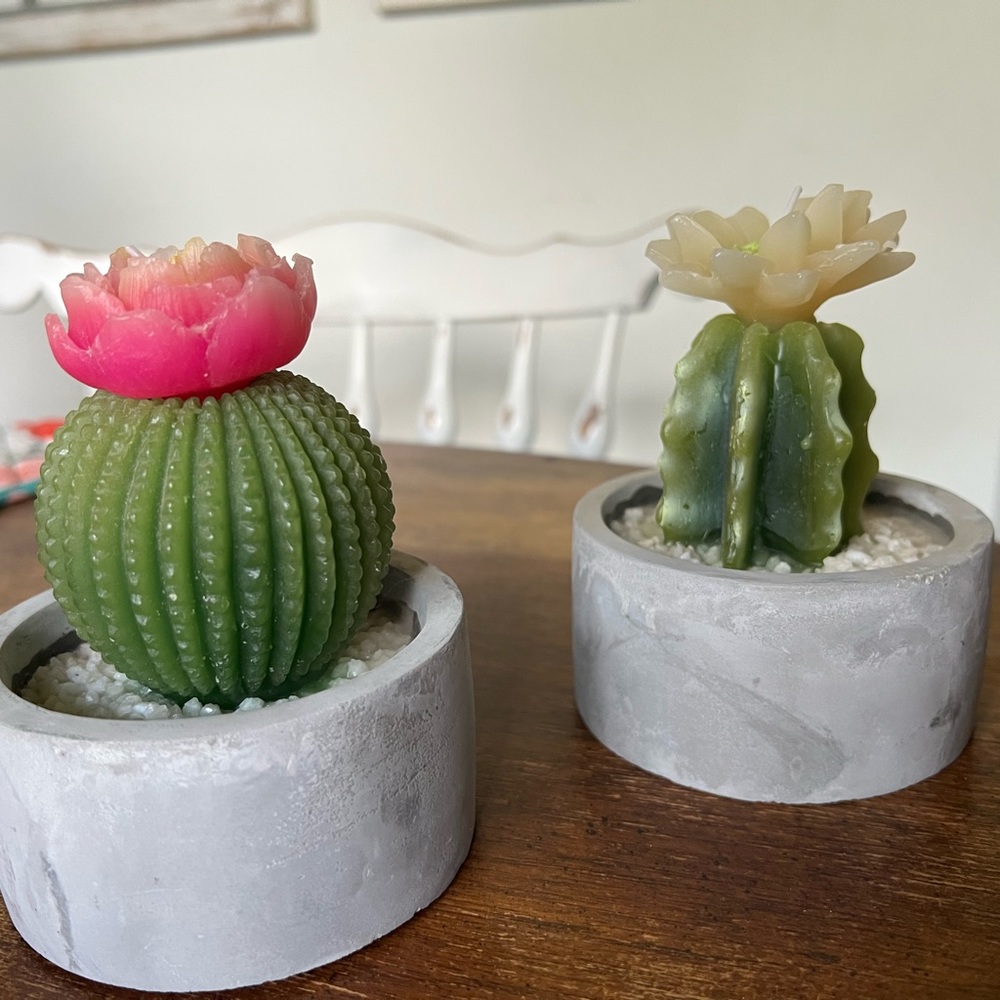 Succulent wax candle lot